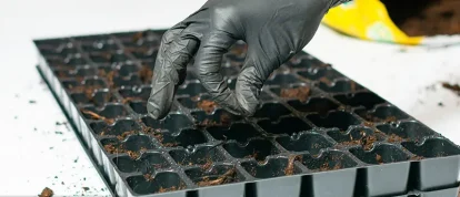 Agricultural-injection-molded-pallets